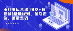 小红书运营课(图文+短视频)基础规则、策划定位、流量密码_网创资源库