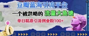豆瓣蓝海引流平台，一个被忽略的流量大鱼塘，单日精准引流创业粉100+_网创资源库