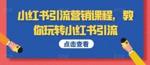 小红书引流营销课程，教你玩转小红书引流_网创资源库