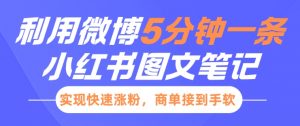 小红书利用微博5分钟一条图文笔记，实现快速涨粉，商单接到手软_网创资源库