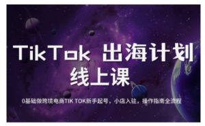 TikTok跨境电商新手起号与运营全攻略，0基础做跨境电商TIKTOK新手起号，小店入驻，操作指南全流程_网创资源库