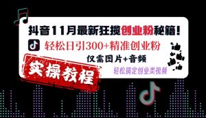 抖音11月最新狂揽创业粉秘籍，轻松日引300+精准创业粉，仅需图片+音频，轻松搞定创业类视频_网创资源库