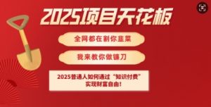 2025项目天花板普通人如何通过知识付费，实现财F自由【揭秘】_网创资源库