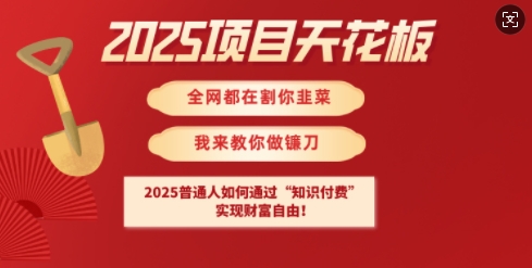 2025项目天花板普通人如何通过知识付费，实现财F自由【揭秘】_网创资源库