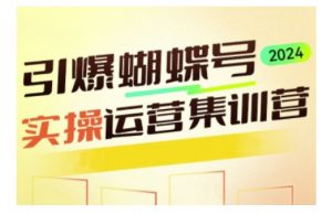 引爆蝴蝶号实操运营，助力你深度掌握蝴蝶号运营，实现高效实操，开启流量变现之路_网创资源库