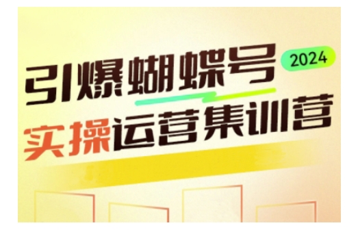 引爆蝴蝶号实操运营，助力你深度掌握蝴蝶号运营，实现高效实操，开启流量变现之路_网创资源库