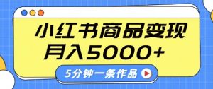 小红书字幕作品玩法，商单变现月入5k+，5分钟一条作品_网创资源库