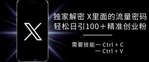 独家解密 X 里面的流量密码，复制粘贴轻松日引100+_网创资源库