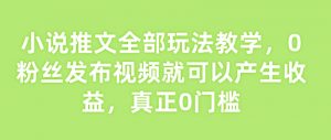 小说推文全部玩法教学，0粉丝发布视频就可以产生收益，真正0门槛_网创资源库