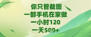 你只管截图，一部手机在家做，苹果安卓都可以，一天5张+【揭秘】_网创资源库
