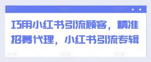 巧用小红书引流顾客，精准招募代理，小红书引流专辑_网创资源库