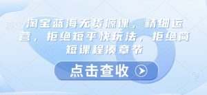 淘宝蓝海无货源课，精细运营，拒绝短平快玩法，拒绝简短课程凑章节_网创资源库