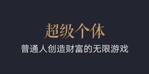 超级个体：2024-2025翻盘指南，普通人创造财富的无限游戏_网创资源库