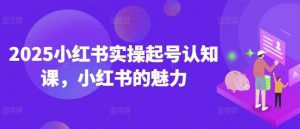 2025小红书实操起号认知课，小红书的魅力_网创资源库