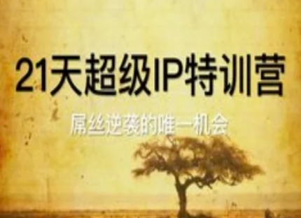 21天超级IP特训营，屌丝逆袭的唯一机会_网创资源库