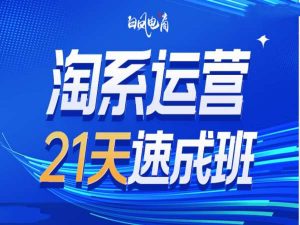 淘系运营21天速成班35期，年前最后一波和2025方向_网创资源库