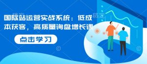 国际站运营实战系统：低成本获客，高质量询盘增长课_网创资源库
