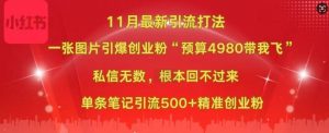小红书11月最新图片打粉，一张图片引爆创业粉，“预算4980带我飞”，单条引流500+精准创业粉_网创资源库