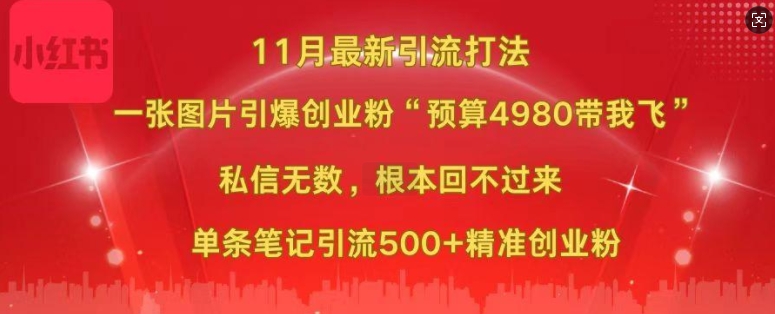 小红书11月最新图片打粉，一张图片引爆创业粉，“预算4980带我飞”，单条引流500+精准创业粉_网创资源库