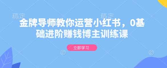 金牌导师教你运营小红书，0基础进阶赚钱博主训练课_网创资源库