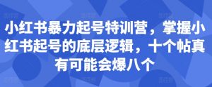 小红书暴力起号特训营，掌握小红书起号的底层逻辑，十个帖真有可能会爆八个_网创资源库