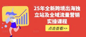 25年全新跨境出海独立站及全域流量营销实操课程，跨境电商独立站TIKTOK全域营销普货特货玩法大全_网创资源库