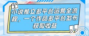 小说推文多平台运营全流程，一个作品多平台发布获取收益_网创资源库