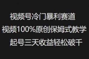 视频号冷门暴利赛道视频100%原创保姆式教学起号三天收益轻松破千_网创资源库