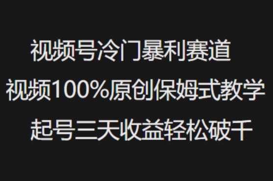 视频号冷门暴利赛道视频100%原创保姆式教学起号三天收益轻松破千_网创资源库