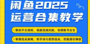 2025闲鱼电商运营全集，2025最新咸鱼玩法_网创资源库