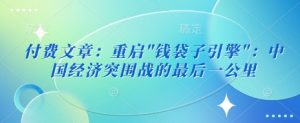 付费文章：重启”钱袋子引擎”：中国经济突围战的最后一公里_网创资源库