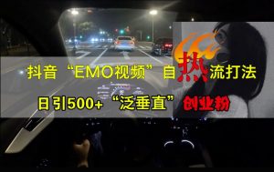 抖音EMO视频自热打法，日引500+“泛垂直”创业粉_网创资源库