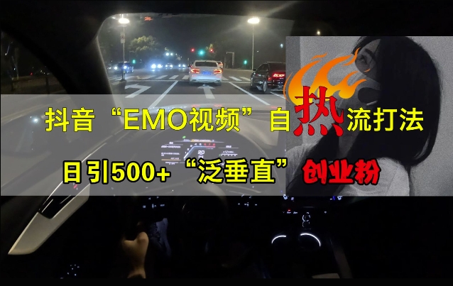 抖音EMO视频自热打法，日引500+“泛垂直”创业粉_网创资源库