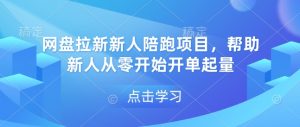 网盘拉新新人陪跑项目，帮助新人从零开始开单起量_网创资源库