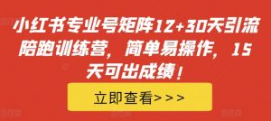 小红书专业号矩阵12+30天引流陪跑训练营，简单易操作，15天可出成绩!_网创资源库