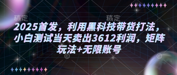 2025首发，利用黑科技带货打法，小白测试当天卖出3612利润，矩阵玩法+无限账号【揭秘】_网创资源库