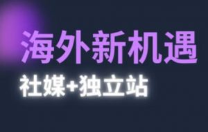 2025出海新机遇(社媒+独立站)，海外新机遇，实现独立站的高效运营与出海_网创资源库