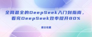 全网最全的DeepSeek入门到指南，看完DeepSeek效率提升80%(建议收藏)_网创资源库
