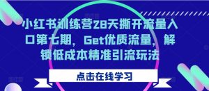 小红书训练营28天撕开流量入口第七期，Get优质流量，解锁低成本精准引流玩法_网创资源库