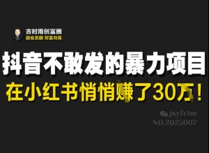 抖音不敢发的暴利项目，在小红书悄悄挣了30W_网创资源库