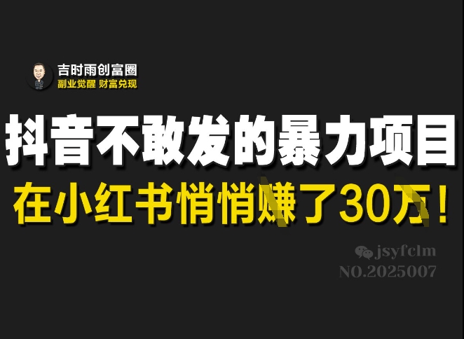抖音不敢发的暴利项目，在小红书悄悄挣了30W_网创资源库