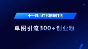 十一月小红书最新打法，单图引流300+创业粉【揭秘】_网创资源库