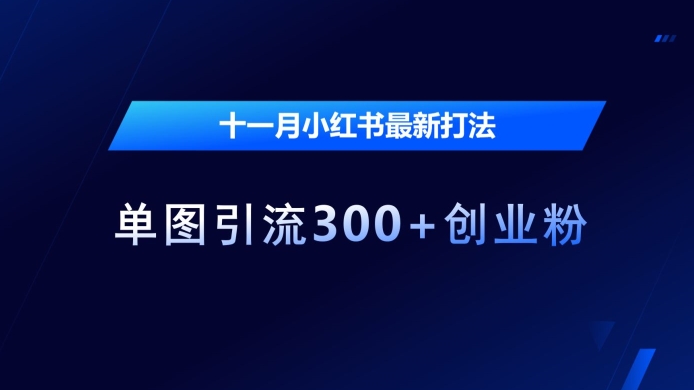 十一月小红书最新打法，单图引流300+创业粉【揭秘】_网创资源库