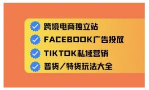 跨境电商独立站及全域流量营销，从0基础快速入门并精通跨境电商运营_网创资源库