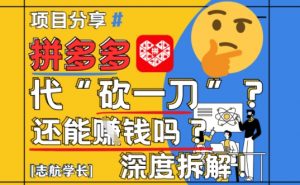 【2025最新】拼多多代坎助力项目深度拆解：还能挣钱吗?全流程玩法_网创资源库