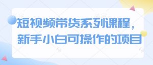短视频带货系列课程，新手小白可操作的项目_网创资源库