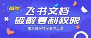 首发飞书文档破解复制权限，售卖自用均可暴力玩法_网创资源库