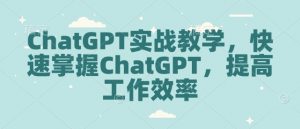 ChatGPT实战教学，快速掌握ChatGPT，提高工作效率_网创资源库