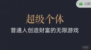 超级个体2024-2025翻盘指南，普通人创造财富的无限游戏_网创资源库