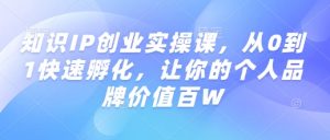 知识IP创业实操课，从0到1快速孵化，让你的个人品牌价值百W_网创资源库